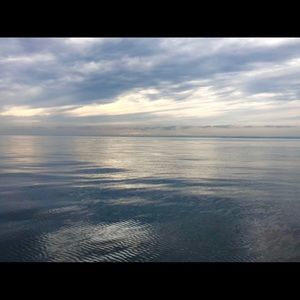 Meet your Posher, Isabella